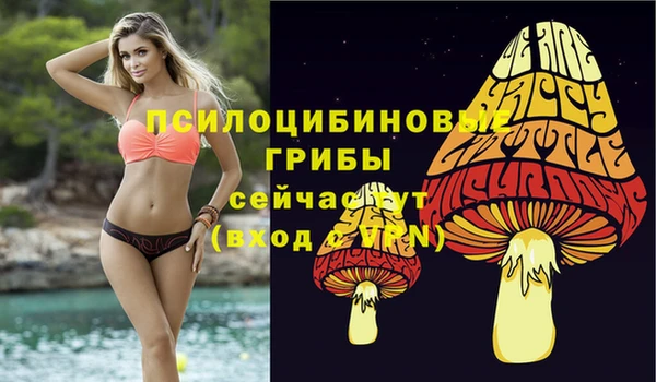 соль ск Абдулино