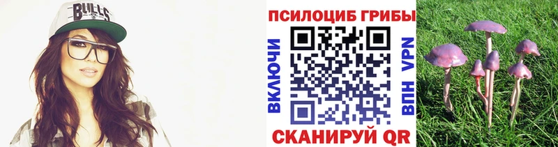 Псилоцибиновые грибы ЛСД  Сычёвка 