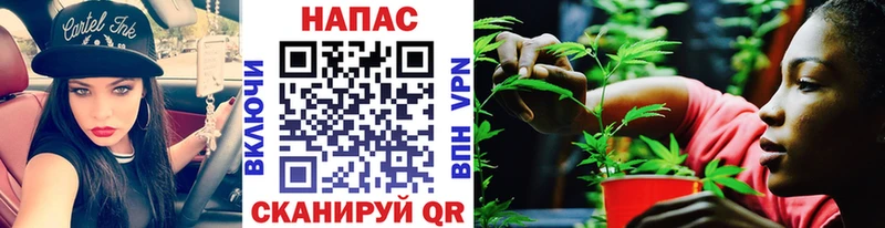 Бошки Шишки план  kraken ссылки  Сычёвка  закладка 